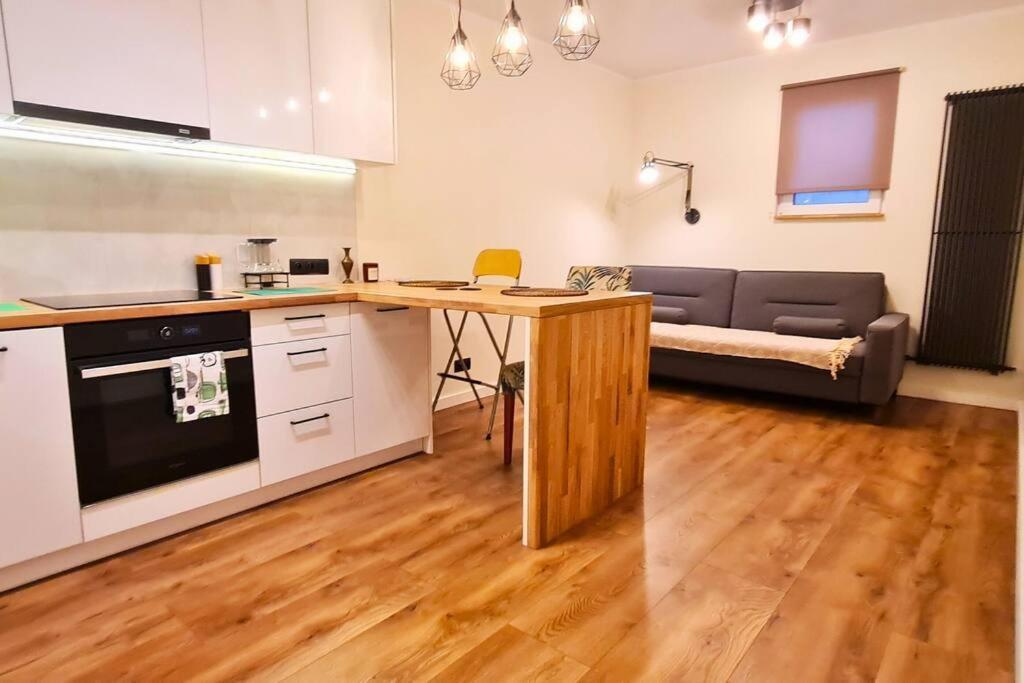 Modern 2 Bedroom Apartment/kazimierz/paulinska St. Krakau